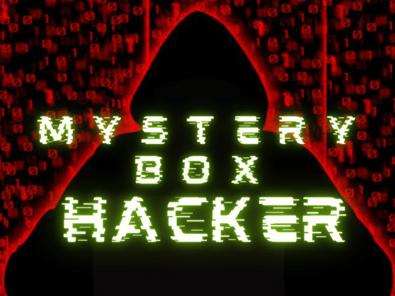 Hacker Mystery Box