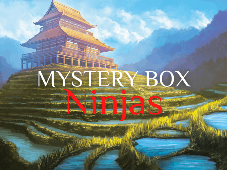 Ninja Mystery Box