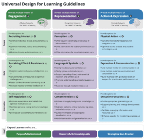 Universal Design for Learning: 23 Things You Need to Know – EMC2 Learning