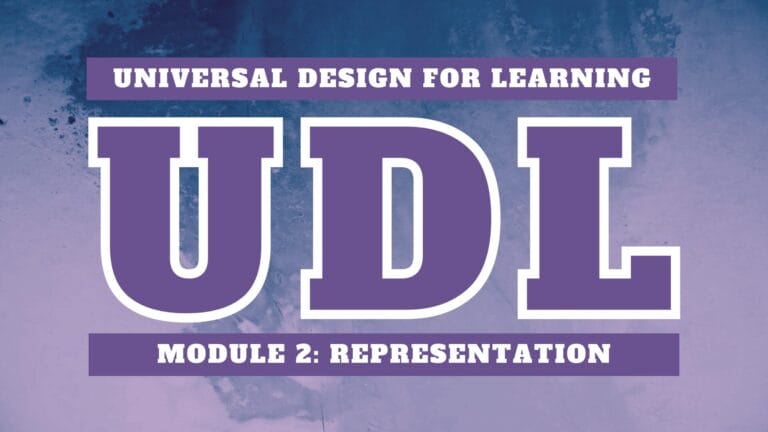 UDL Module 2: Representation